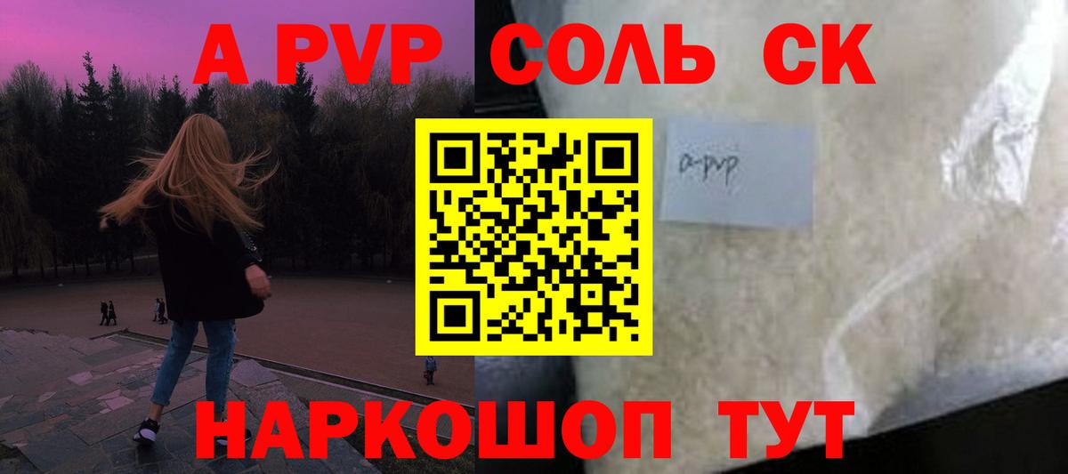 A PVP СК Щёлково