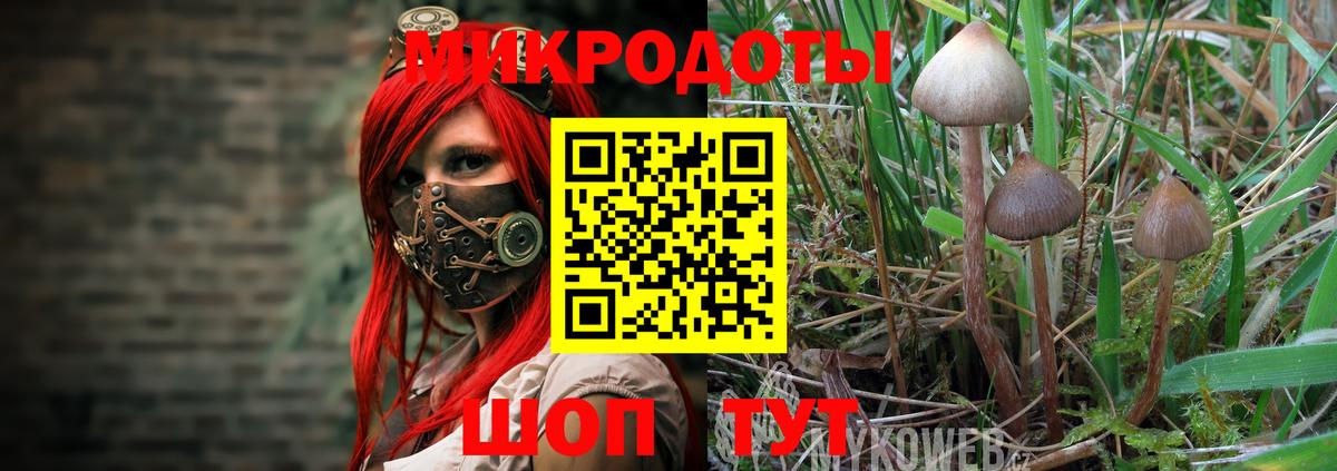 Галлюциногенные грибы GOLDEN TEACHER  Галлюциногенные грибы Cubensis  Щёлково  Вход с VPN 